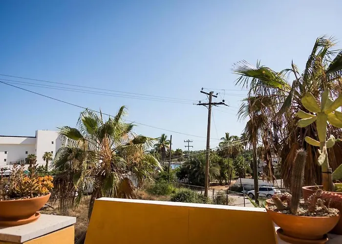 Authentic Loft Retreat Steps From & Culture * San José del Cabo