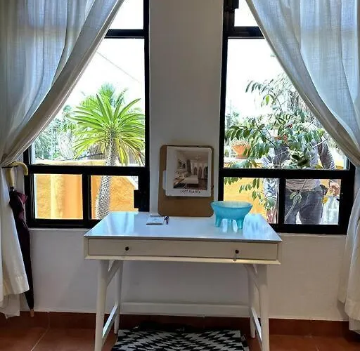 Authentic Loft Retreat Steps From & Culture San José del Cabo